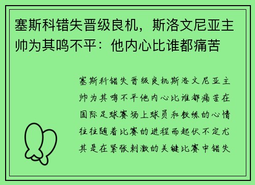 塞斯科错失晋级良机，斯洛文尼亚主帅为其鸣不平：他内心比谁都痛苦