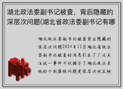 湖北政法委副书记被查，背后隐藏的深层次问题(湖北省政法委副书记有哪几位)