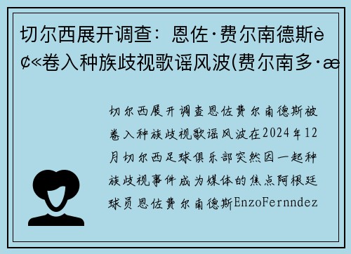 切尔西展开调查：恩佐·费尔南德斯被卷入种族歧视歌谣风波(费尔南多·恩里克)